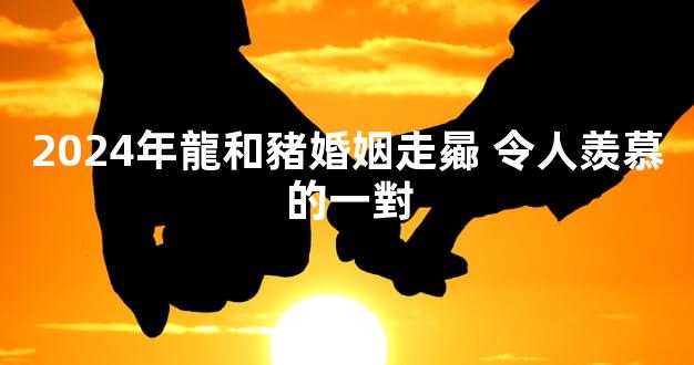 2024年龍和豬婚姻走曏 令人羨慕的一對